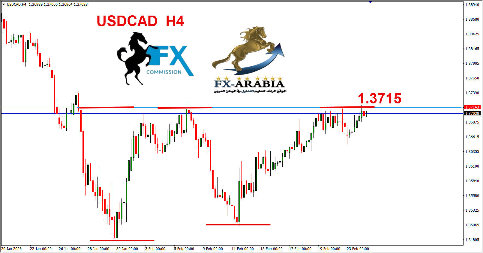 التحليل الفني الدولار كندي اليوم 24/2/2026